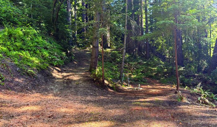 Wooded trail on the Stetson Road acreage