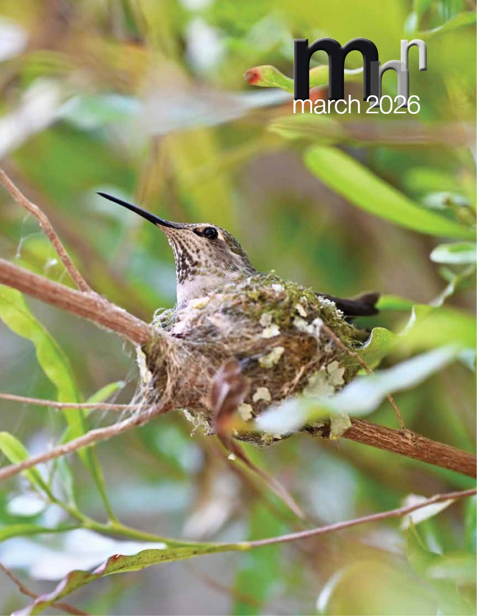 Cover of March 2026 · Volume MMXXVI, Number 3