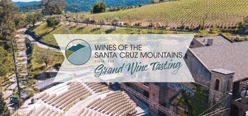 Mountain Vines, Elevated Wines