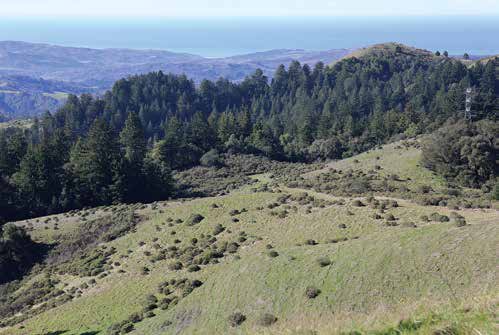 Four new trails