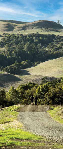 Four new trails