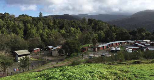 Future of Bear Creek Stables