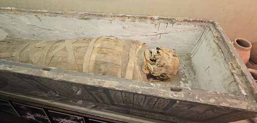 Rosicrucian Egyptian Museum
