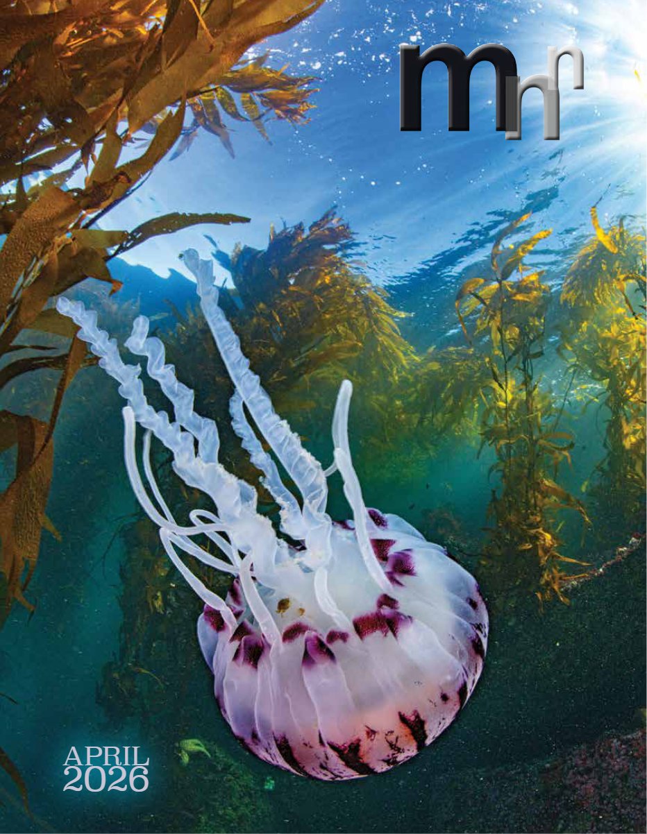 Cover of April 2026 · Volume MMXXVI, Number 4