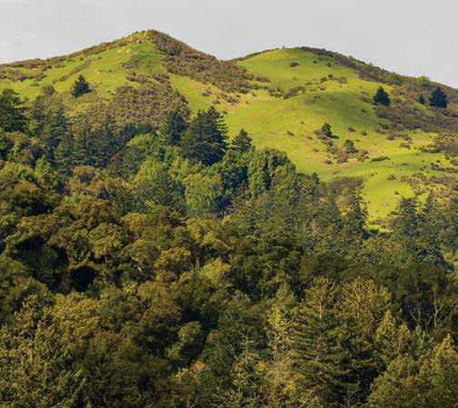 Mount Diablo. Other trails offer views to