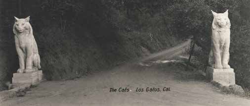The Cats Estate: