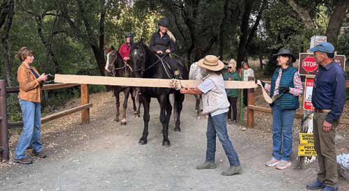 Friends of Bear Creek Stables