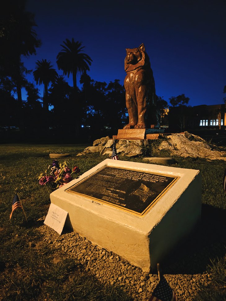 Remembering Local Heroes
