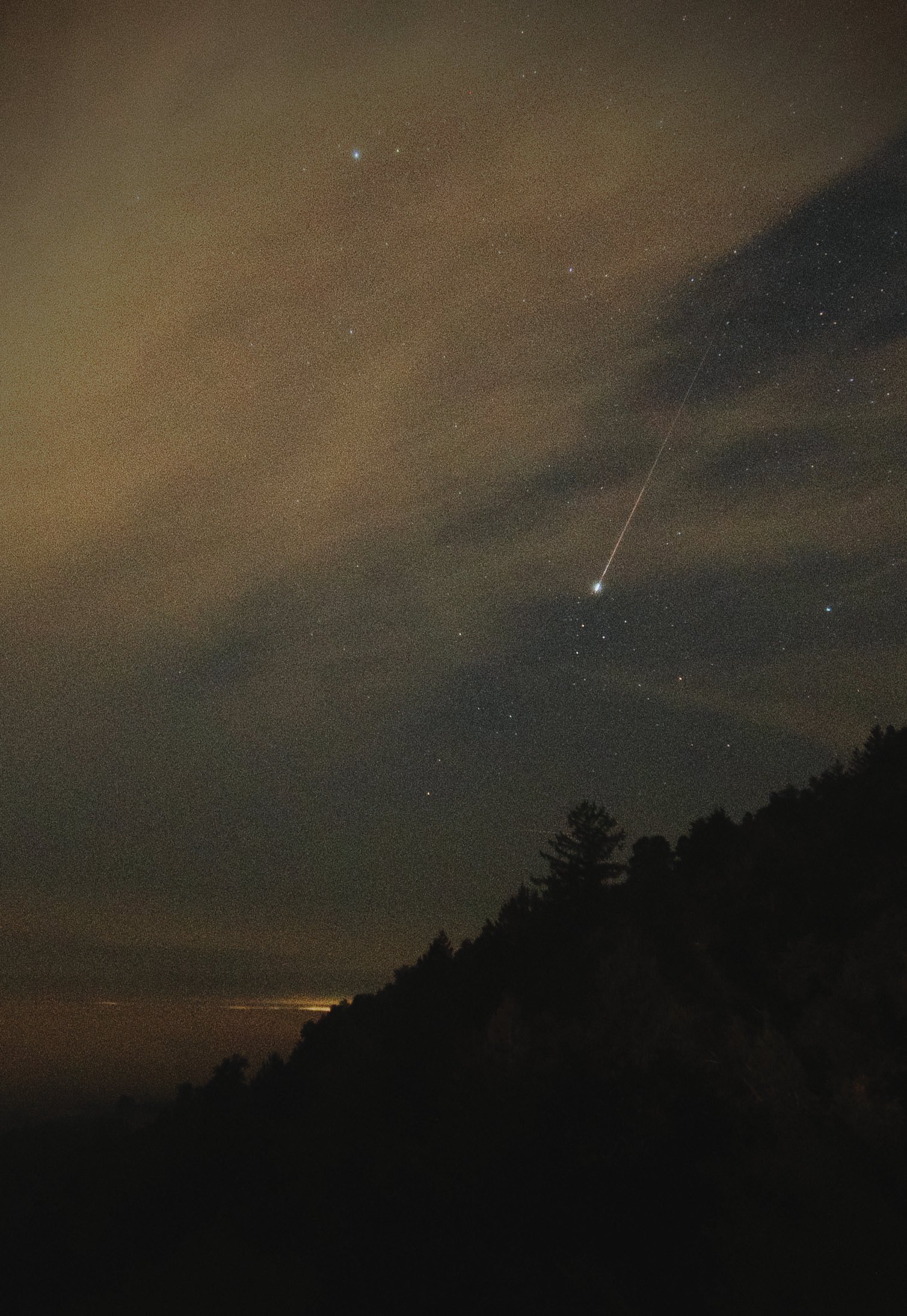Perseid Meteor Shower