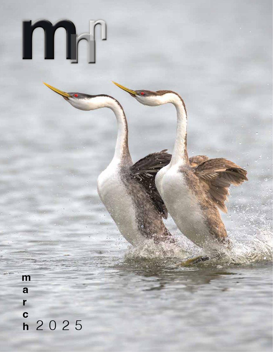 Cover of March 2025 · Volume MMXXV, Number 3